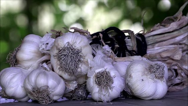 Zoom out of bulb of garlics on blue cloth.