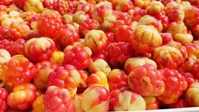 Group of cloudberries, close-up shot of hand picking up single berry