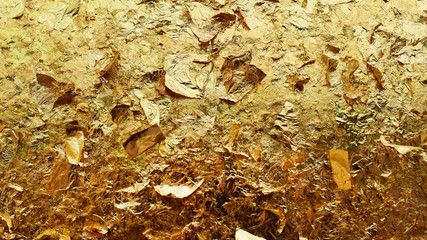 close up of buddha closed with gold plate