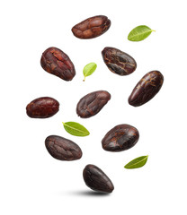 Cacao beans isolated