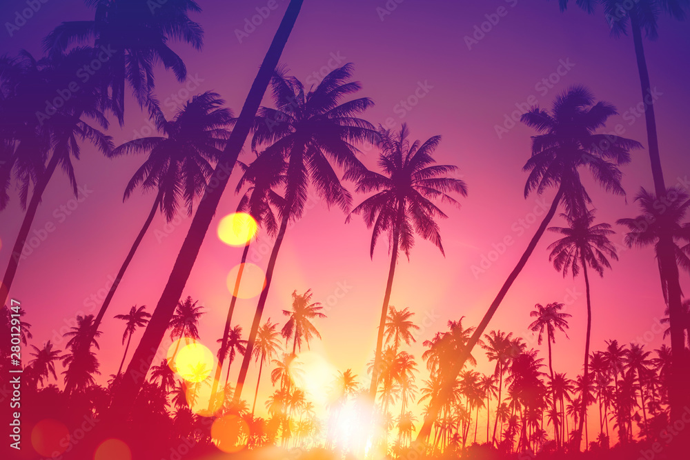 Canvas Prints tropical palm tree with colorful bokeh sun light on sunset sky cloud abstract background.