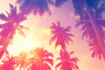 Obraz na płótnie Canvas Tropical palm tree with colorful bokeh sun light on sunset sky cloud abstract background.