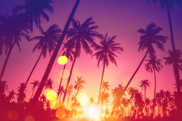 Palmier tropical avec lumière du soleil bokeh coloré sur fond abstrait nuage ciel coucher de soleil.