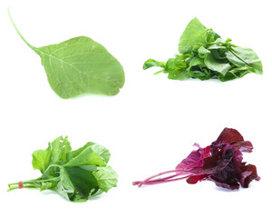 spinach isolated on white background (Mix, set , collection)