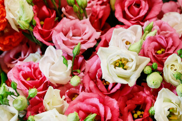 Pink lisianthus (eustoma) flowers.