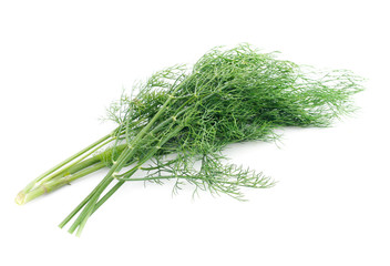 Green dill isolated on white background