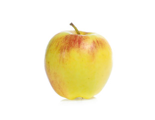 yellow apples isolated