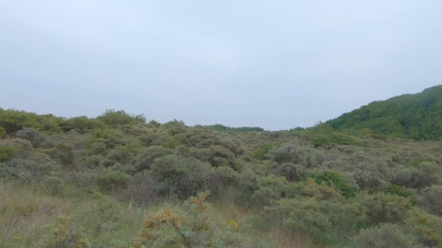 4K Nature next to the beach of Zoutelande, Groot Valkenisse, Zeeland, Netherlands.