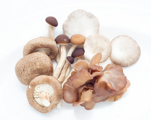 mixed mushroom