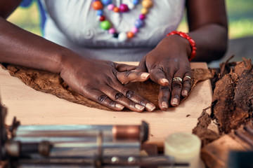 Closeup of woman hands making cigar from tobacco leaves. Traditional manufacture of cigars..Demonstration of production of handmade cigars. Hands rolling dried and cured tobacco leaves. - obrazy, fototapety, plakaty