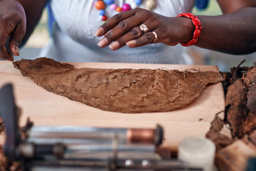 Closeup of woman hands making cigar from tobacco leaves. Traditional manufacture of cigars..Demonstration of production of handmade cigars. Hands rolling dried and cured tobacco leaves.