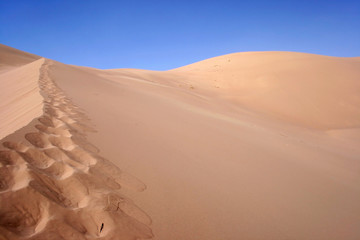 A sand dune in Khongoryn Els, the 