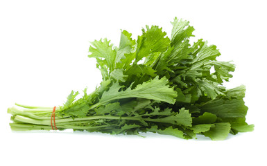 Chinese cabbage on white background