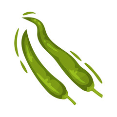 Two pods of hot pepper. Vector illustration on white background.