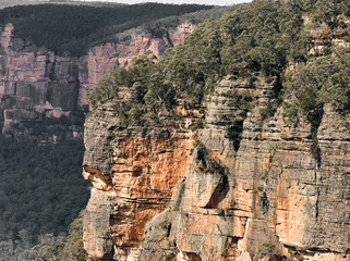 Fototapeta na wymiar Blue Mountains New South Wales Australien