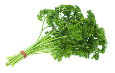 Parsley isolated on white background