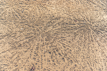 Fototapeta na wymiar The pattern on the sand, small crabs hole on the beach