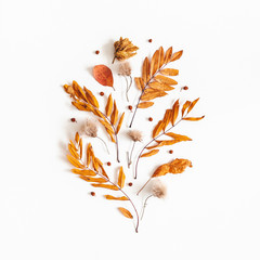 Autumn composition. Dried leaves, rowan berries on white background. Autumn, fall, thanksgiving day...
