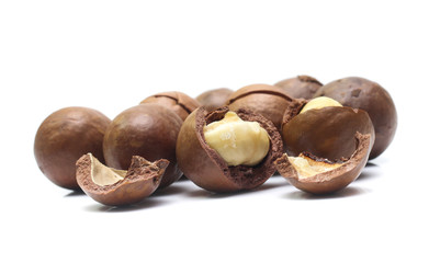macadamia nuts on white background