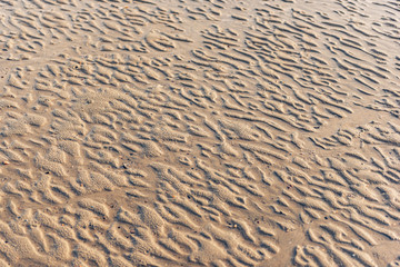  Gold desert into the sunset. Sand wave texture.