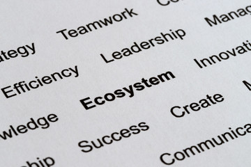 Obraz premium Technology Business Buzzwords on Printed Paper