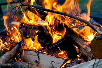 Fototapeta premium Brennendes Holz in einem Lagerfeuer am Abend
