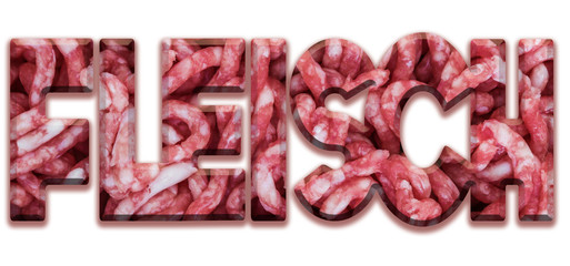 Fleisch Strukturschrift