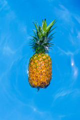Large and delicious yellow pineapple floating in a pool - Sweet exotic pineapple - Blue background water