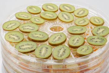 Kiwi slices on dehydrator rack