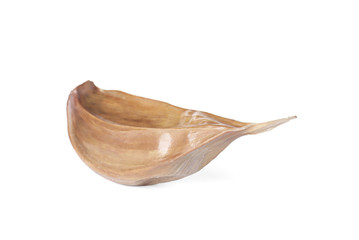 Unpeeled clove of aged black garlic on white background
