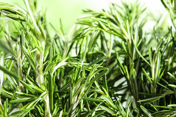 Obraz premium Branches of fresh rosemary on blurred green background