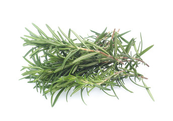 rosemary isolated on white background