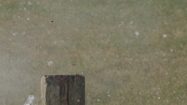 Exploding water bottle on a wooden log in  slow motion.  Water droplets rain down.