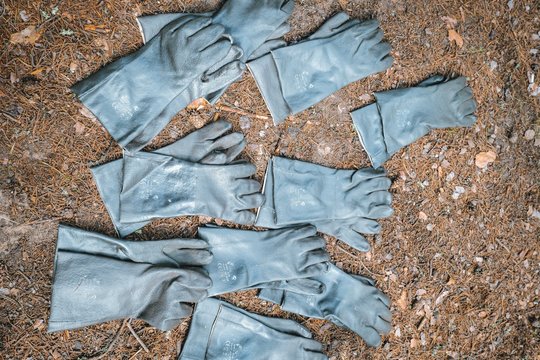 rubber gloves for garbage collection on forest land