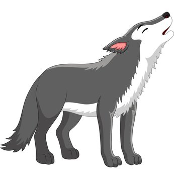 Cartoon wolf howling on white background