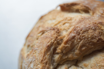 Fresh rolls in closeup delicious bread crust