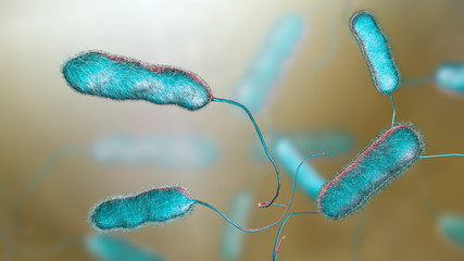 Legionella pneumophila bacterium, the causative agent of Legionnaire's disease, 3D illustration