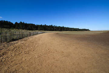 Fototapeta premium Holkham, Norfolk coast - North Norfolk 