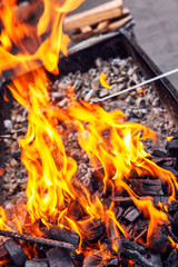 Bright flames in the grill. Close-up. Vertical.