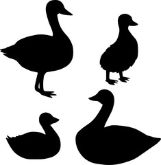 Goose Silhouette Animal Duck Vector Illustrations