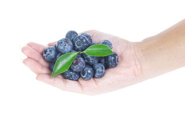 handful of freshly picked blueberries isolated on white