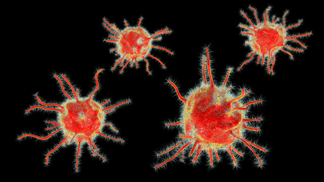Parasites or pathogenic microbes, medical concept. 3D illustration