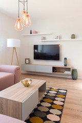 Contemporary living-room interior of house