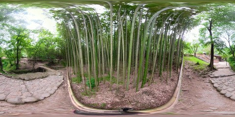 Damyang, South Korea - 24 July 2019 Juknokwon. After heavy rain 360 degrees spherical panorama of...