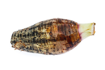 taro isolated on white background