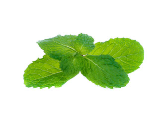 Fresh raw mint leaves isolated on white background