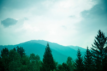 Misty mountains wallpaper, with tree tops in the foreground and hills in the background. Cold tones, green filter, toned wallpaper.