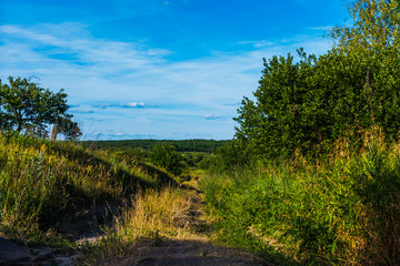 Fototapeta na wymiar rural landscape in summer. the road in the grass.
