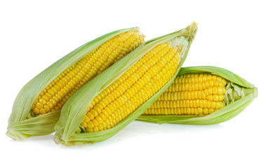 Corn on white background