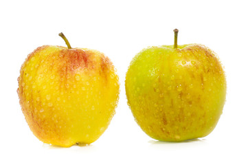 yellow apples isolated